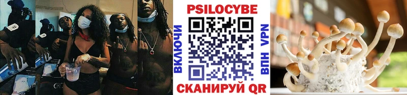 наркота  Ессентуки  Псилоцибиновые грибы ЛСД 